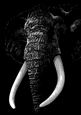 Elegant Elephant