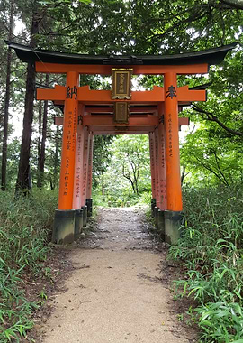 Lone Torii