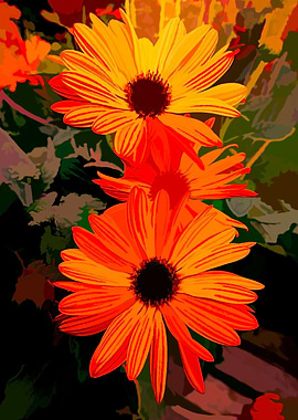 orange gerbera daisy