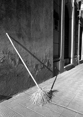 Resting Broom Buenos Aires