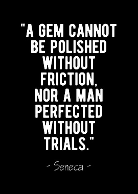 Perfection Seneca Quote