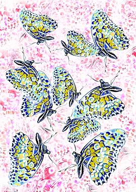 Butterflies dance1