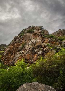 The Stone and the Storm