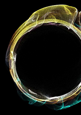 Particle Metamorphose