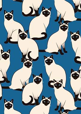 Siamese Cats Crowd Dark