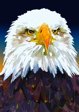 American Bald Eagle