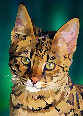 Beautiful cat in forest