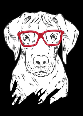 Rhodesian Ridgeback Dog