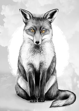 charcoal fox colorkey