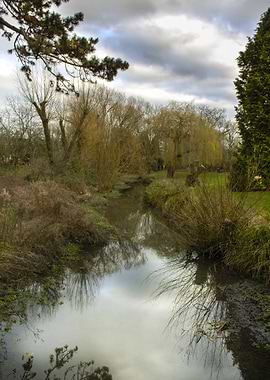 Stream Through The Park