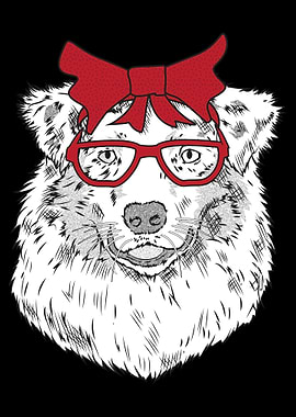 Aussie Australian Shepherd