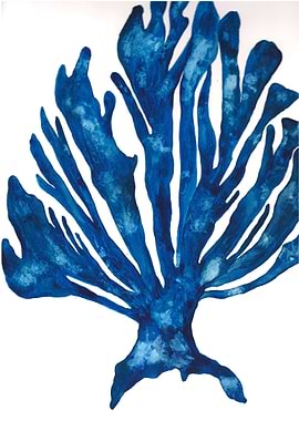 Blues sea coral