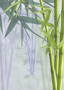 Bamboo sprout tender