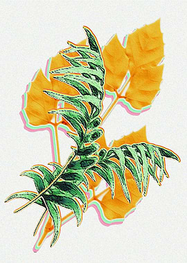 Tropical leaves