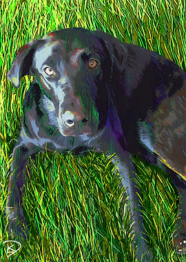 Black Lab Dog Painting