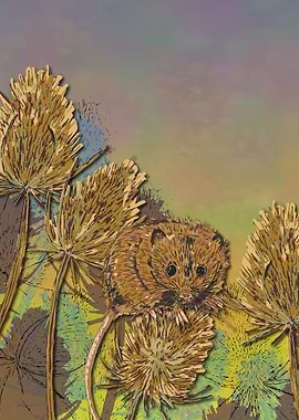 Harvest Mouse and Teasels