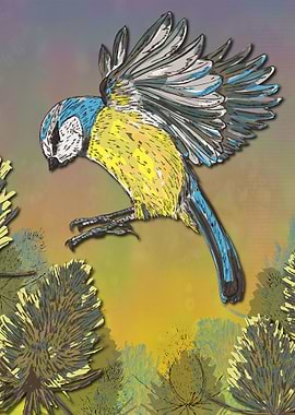 Blue Tit and Teasels