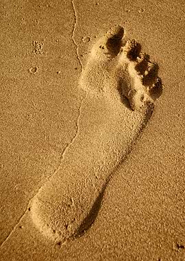 Footprint