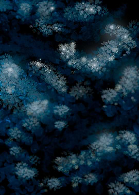 Night flowering Muse