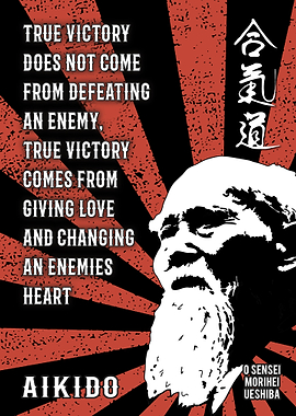 Aikido True Victory