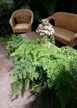 Cane Chair Relaxation