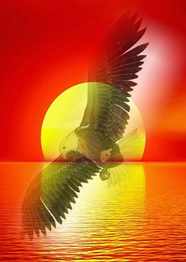 The Eagle and the Sunset