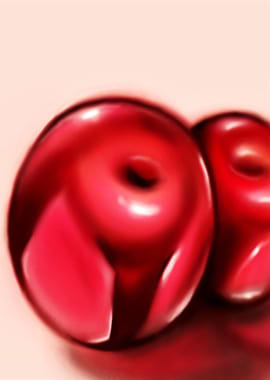 Cerezas Cherries digital