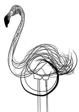 Flamingo