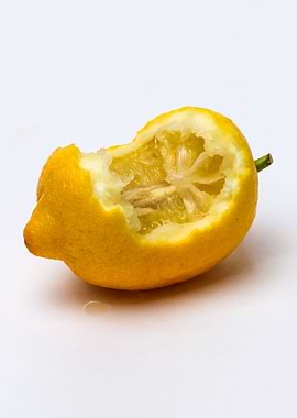 Lemon Keep Smiling