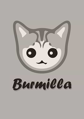 Burmilla Cat