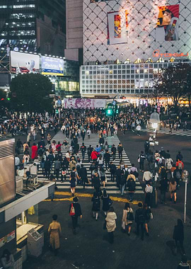 Shibuya Crossing
