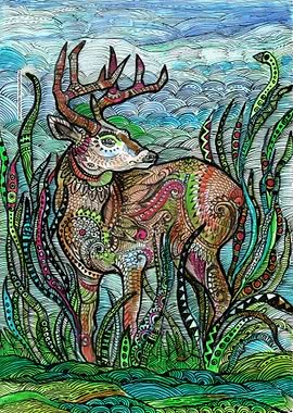 Deer 1