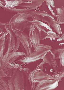 background blue flower