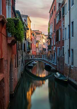 When the morning comes