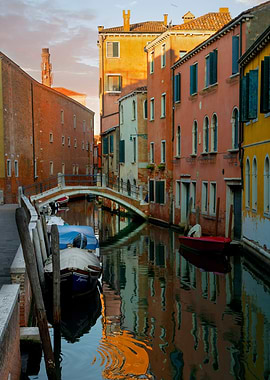 Vanice in morning sun