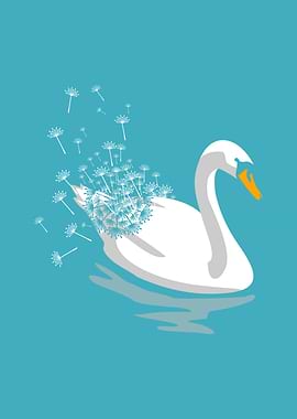Swan Dandelion
