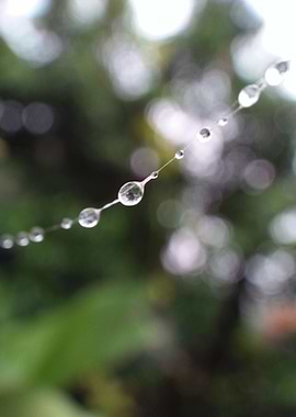 Droplets 101