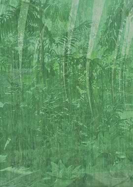 memoris from my garden