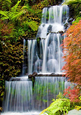 Water Fall