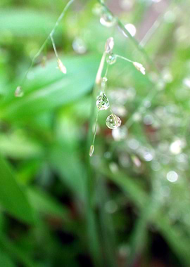 Droplets 105