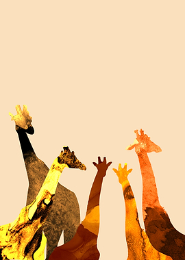 Safari animal giraffe silh