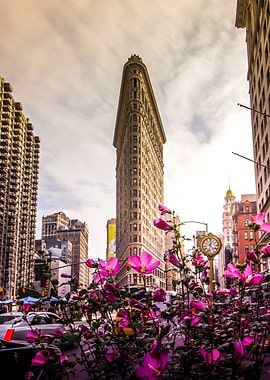 Flatiron and Flowers