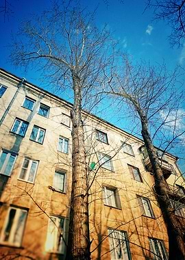 Yellow old building and tr