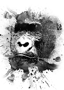 Gorilla