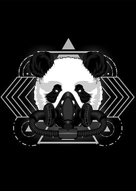 PANDA SCARED GEOMETRY