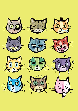 cat faces