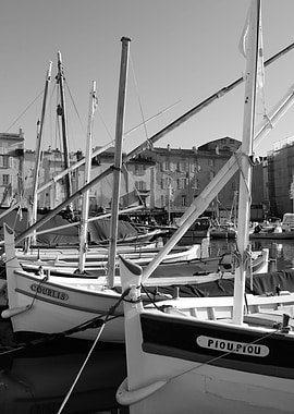 Harbor of Saint Tropez