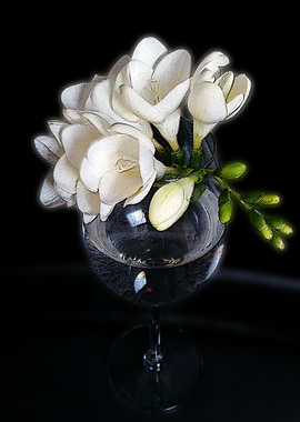 white freesia in a glass