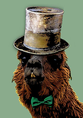 Funny Dapper Alpaca