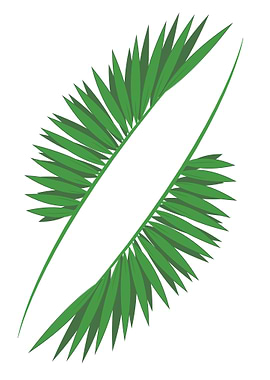 Palm Leaf